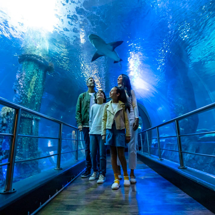 SEA LIFE Melbourne Aquarium Tickets Ticket